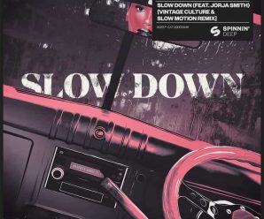 Vintage Culture and Slow Motion work their magic on 'Slow Down'