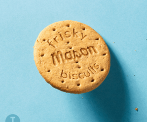 Mason – Frisky Biscuits