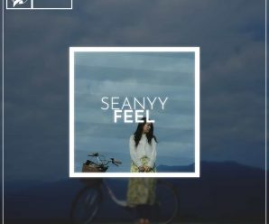 Seanyy Returns With Brand New Single “Feel” via Swerve Collective Creations