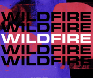 Next Habit – Wildfire