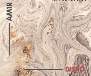 AM1R – Disko