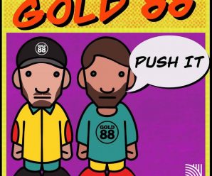 GOLD 88 remake classic 80’s banger ‘PUSH IT’