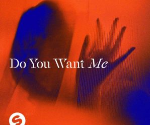 LUCAS & STEVE drop their feel good hit ’ ‘DO YOU WANT ME’