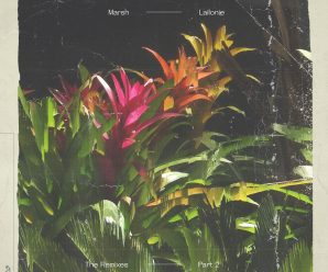 Braxton Teams Up with Marsh for “My Stripes” Remix