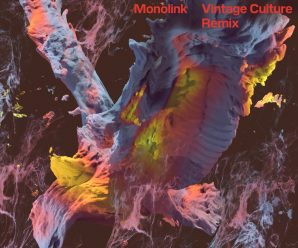 Gui Boratto and Vintage Culture Remix Monolink’s “The Prey”
