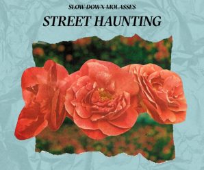 Slow Down Molasses – “Street Haunting”