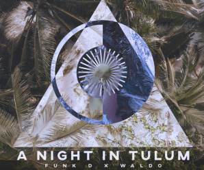 Funk D, Waldo – A Night In Tulum