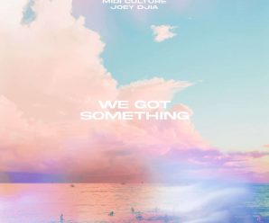 Midi Culture & JOEY DJIA – We Got Something