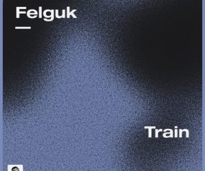 Felguk – Train