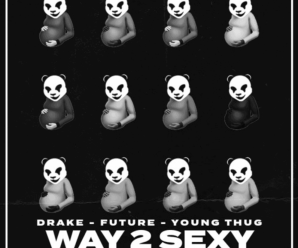 DRAKE FT. FUTURE – WAY 2 SEXY (HAUS OF PANDA REMIX)