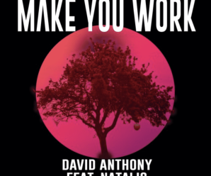 David Anthony and Natalis Release Vocally Driven, Easy Listener, Pop Hybrid Record, ‘Make You Work’