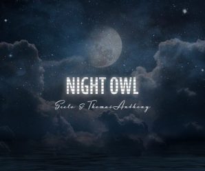 Seelo & Thomas Anthony – Night Owl