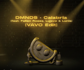 VAVO Drop Powerful Remix of Dance Music Classic ‘Calabria’