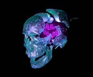 Will Wallace Releases ‘Mind Blown’