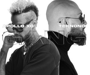 Apollo XO & Teknono – Gang