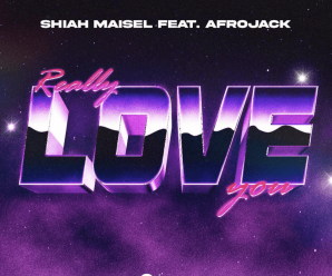 Shiah Maisel x Afrojack – Really Love You