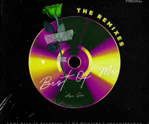 Avi Sic ‘Best Of Me | The Remixes’