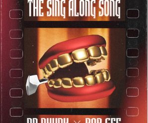 Dr Phunk x Rob Gee – The Sing Along Song