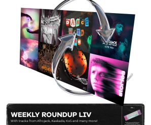 Weekly Roundup LIV (With tracks from Afrojack, Kaskade, Kx5 and many more!)