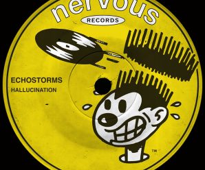 EchoStorms Shares Their New Hit ‘Hallucination&#8….