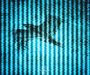 six o five x E.P.O. – mockingbird