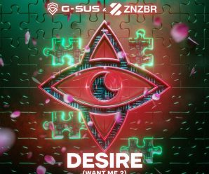 G-Sus & ZNZBR – Desire (Want Me 2)