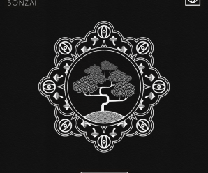 HI-LO Releases Melodic Techno Stomper ‘Bonzai’