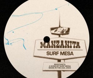 Surf Mesa Captivates With Latest Track, ‘Manzanita’