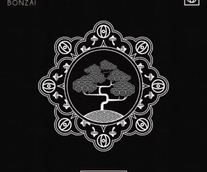 HI-LO – BONZAI