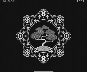 HI-LO Honours Bonzai Records With New Single ‘Bonzai’