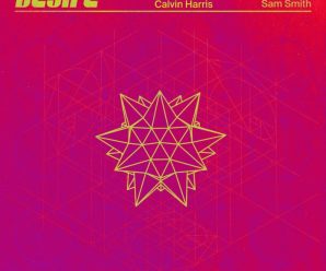 Calvin Harris Debuts New Track at Ushuaia in Ibiza