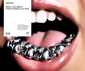 Steve Angello x Wh0 – What You Need
