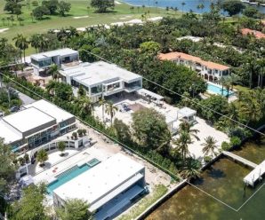 David Guetta Buys $69 Million Mansion in Miami Area