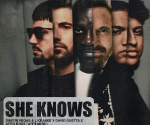 Dimitri Vegas & Like Mike, David Guetta, Afro Bros – She Knows (with Akon)