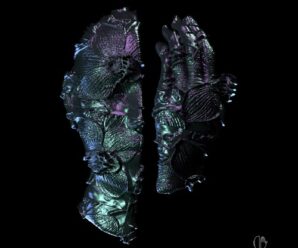Massano Makes His Debut on Upperground With The ‘Shapeshifter’ EP