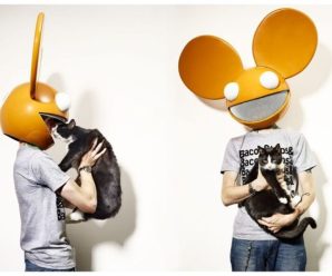 Deadmau5 Shares Message About Passing of Meowingtons on International Cat Day