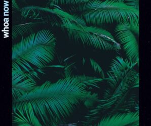 Turtle & Sloth Drop The Dancefloor Ready ‘Whoa Now’!