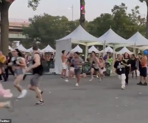 NYC Mayor Says Electric Zoo Will Face Punishment