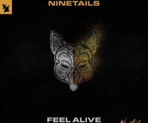 Living up to expectations: Ninetails craft Solid Brazilian Bass with enriching details in Armada!