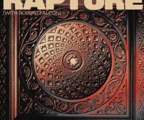 Sander Van Doorn And Robert Falcon Revive ‘Rapture’ by iio