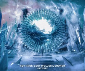 Punk and dubstep? What a combo from ROY KNOX, Lost Wolves, and Soundr!