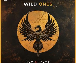 Progressive and Hardstyle? Nice! Beautiful Melodic Hardstyle track from TCM and Thymo
