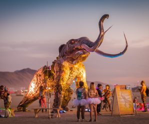 Burners Take Massive Losses to Sell Unwanted Burning Man Tickets