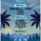 Palm Tree Music Festival Unveils Its 2025 Aspen Lineup