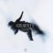 Martin Garrix and Friends Deliver Ultra Track ‘Gravity’