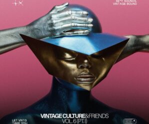 Vintage Culture & Friends Vol. 6 Pt. II