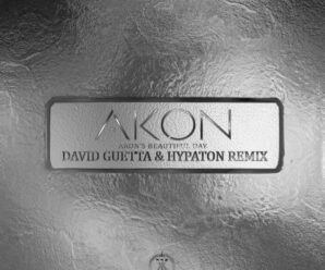 David Guetta & Hypaton Renew Akon’s ‘Beautiful Day’