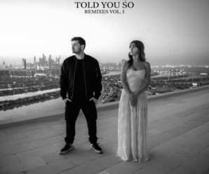 STMPD Records Releases: Told You So Remixes Vol. 1