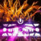 Ultra Music Festival Shares 2025 Memories Video As Tickets Go Back on Sale