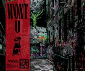 Trap, Bass House, or Dubstep? “WONT U” is a dark, screaming beast of a track that rewards patience